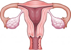 Urología