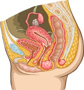 Urología