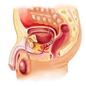 Urología